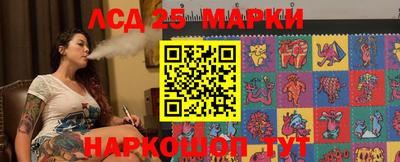стаф Новодвинск