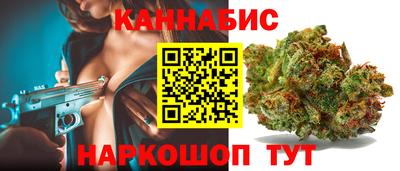 МДПВ Новозыбков