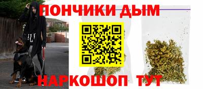 стаф Новодвинск