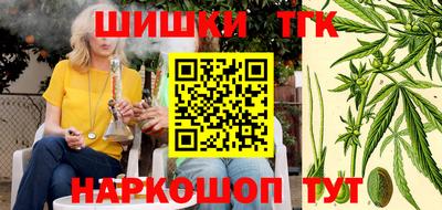 МДПВ Новозыбков