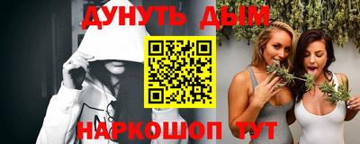 МДПВ Новозыбков