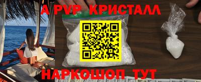 стаф Новодвинск